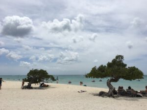 Strand op Aruba met Divi Divi bomen