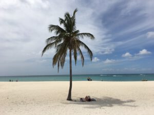 Zonnen onder een Palmboom op een strand in Aruba